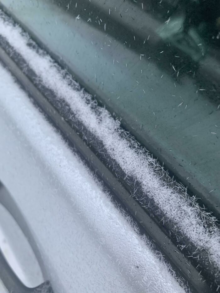 Snowsticks? When Snowflakes Are Too Mainstream