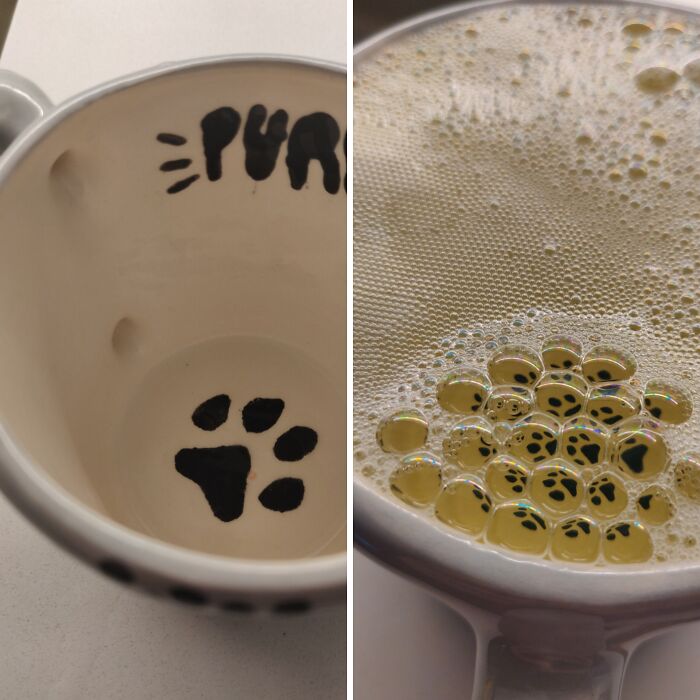 Soap Bubbles On My Mug Made It Look Like It’s Covered In Tiny Paw Prints