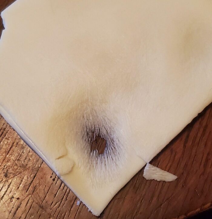 Ever Seen What Happens When A Cat Licks Cheese? Here’s A Close-Up