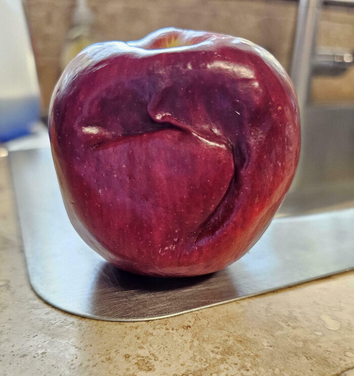 This Apple Was Damaged And Healed Itself—No Mold, Just Magic?