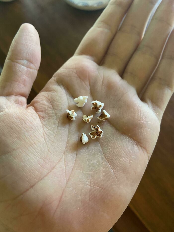 Mom Microwaved Birdseed and Accidentally Made Tiny Popcorn