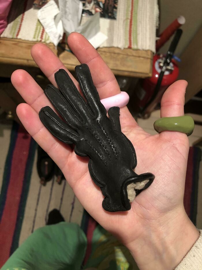 Grandma Accidentally Washed Her Leather Glove and This Happened