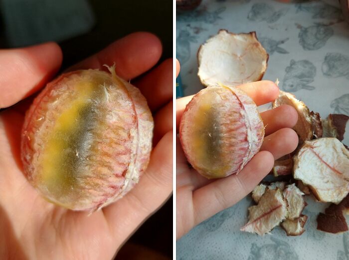 I Peeled A Passion Fruit and It Looked Like Alien Juice