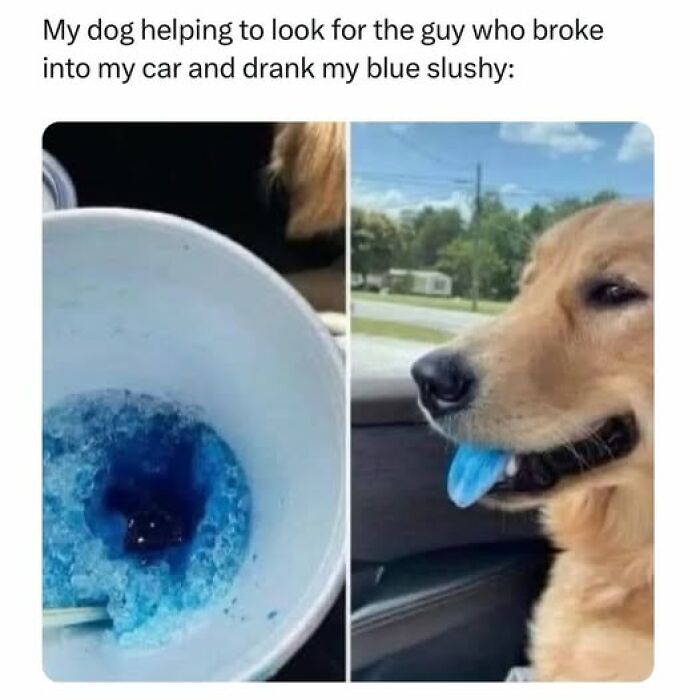 When Cooking Goes ‘Oh No’: The Wildest Food Fails That’ll Make You Laugh (and Maybe Lose Your Appetite)