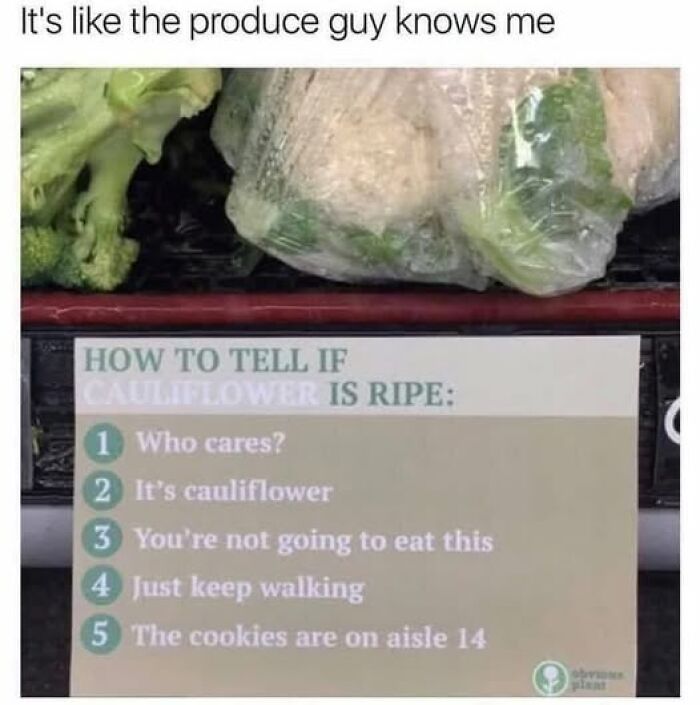 When Cooking Goes ‘Oh No’: The Wildest Food Fails That’ll Make You Laugh (and Maybe Lose Your Appetite)