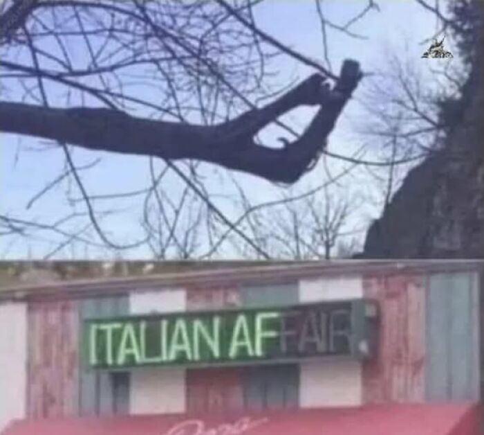 When Cooking Goes ‘Oh No’: The Wildest Food Fails That’ll Make You Laugh (and Maybe Lose Your Appetite)