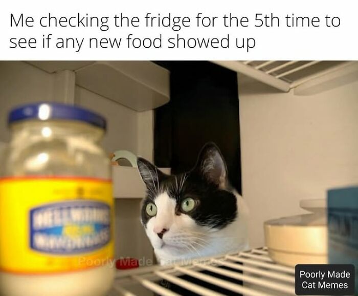 When Cooking Goes ‘Oh No’: The Wildest Food Fails That’ll Make You Laugh (and Maybe Lose Your Appetite)