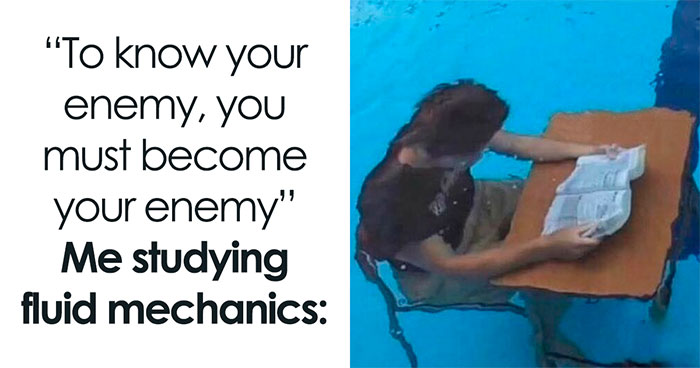 Wait Till You See These 50 Educational Memes That Make School Way Funnier