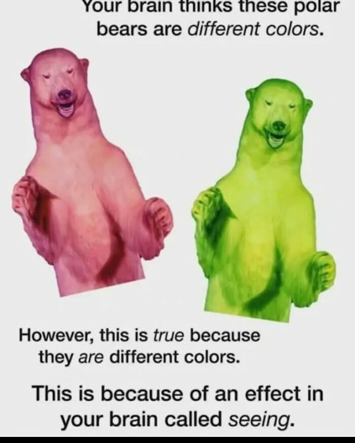 Wait Till You See These 50 Educational Memes That Make School Way Funnier