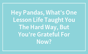 Wait, Life Taught You THAT? Share Your Best Hard-Knock Lesson!