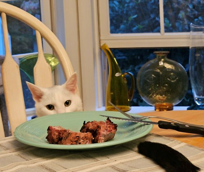 I Told You Kc BBQ, Not Texas