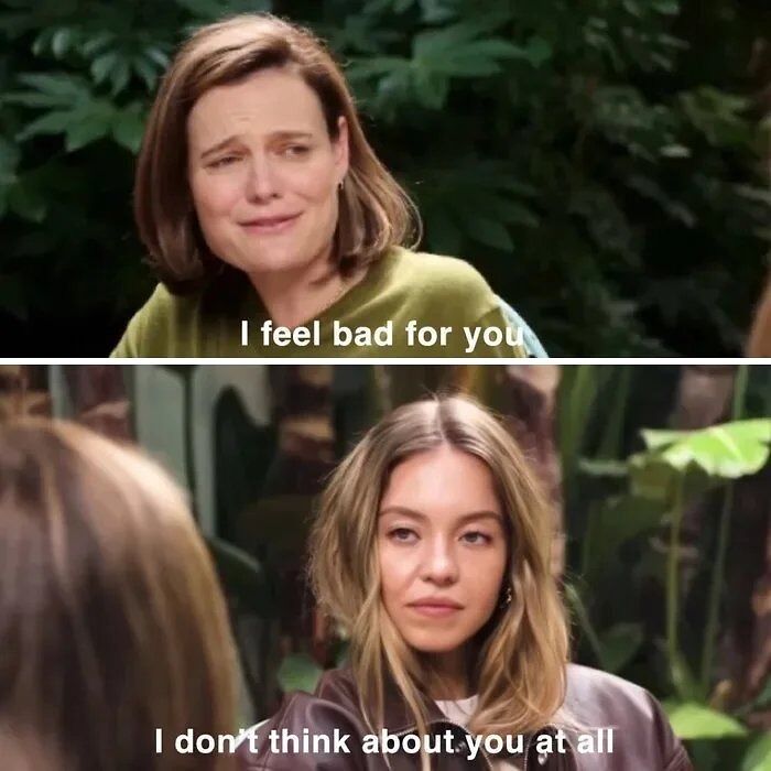 What They Really Wanted To Say