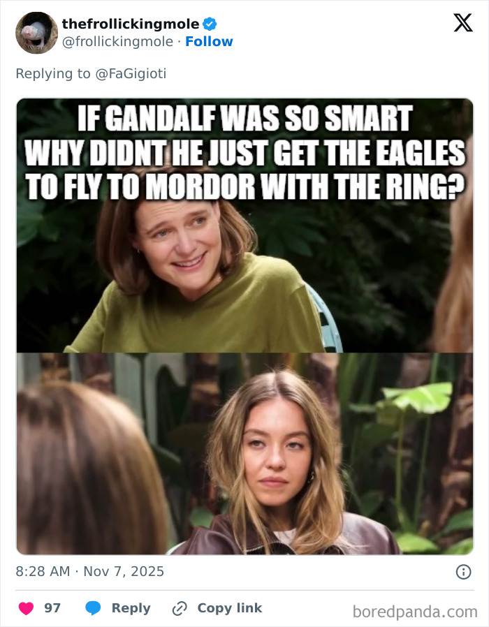 A Question That Haunts Sydney At Night