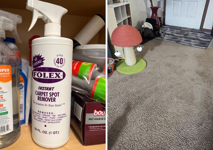 Carpet Stain Remover: That Mystery Spot Doesn’t Stand A Chance