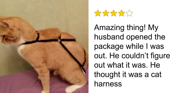 The Wildest, Weirdest Reviews That’ll Totally Crack You Up