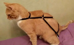 The Wildest, Weirdest Reviews That’ll Totally Crack You Up