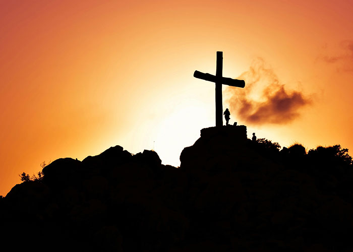 Wait, People Actually Didn’t Know These? 48 Classic ‘Common Knowledge’ Fails