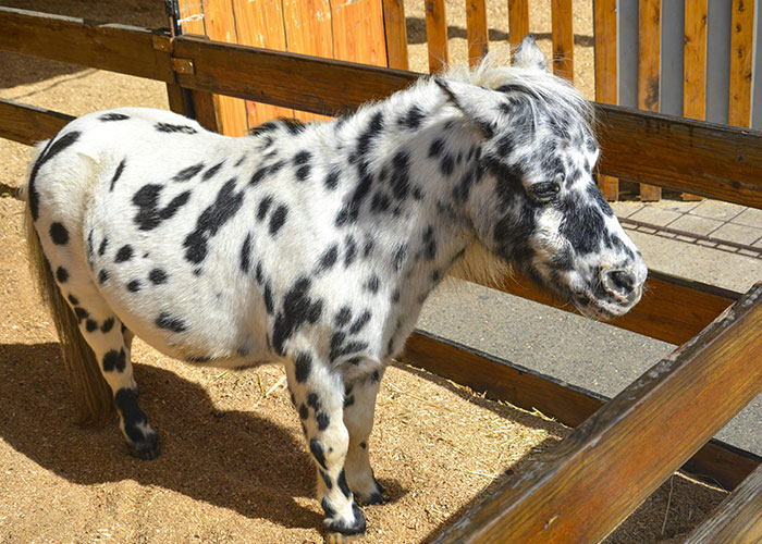 Wait, People Actually Didn’t Know These? 48 Classic ‘Common Knowledge’ Fails