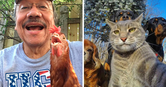 Wait Till You See These Epic Animal Selfies That Totally Nail It