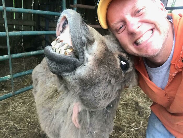 Dad and His Miniature Donkey Just Killed the Selfie Game