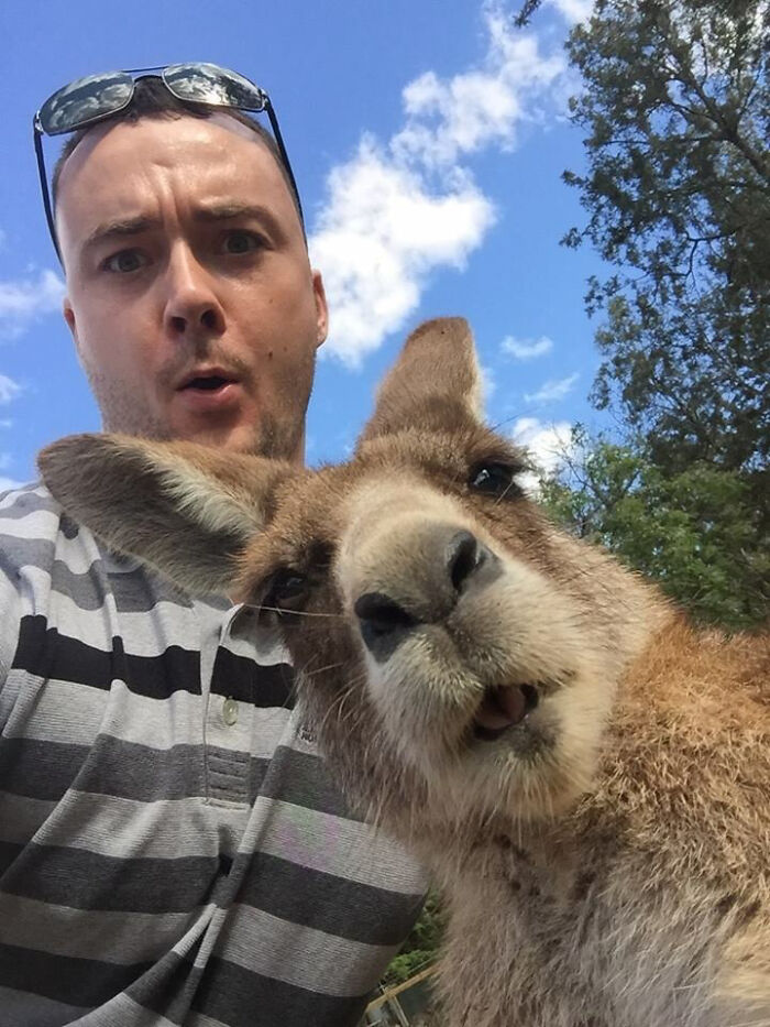 Wait Till You See These Epic Animal Selfies That Totally Nail It