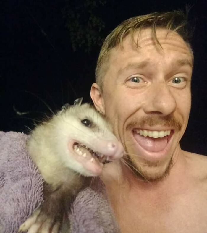 Wait Till You See These Epic Animal Selfies That Totally Nail It