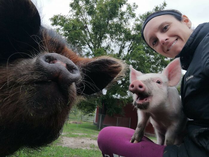Wait Till You See These Epic Animal Selfies That Totally Nail It