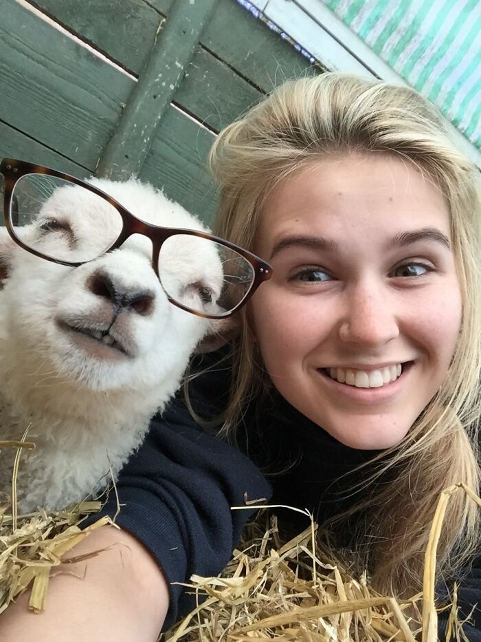 Wait Till You See These Epic Animal Selfies That Totally Nail It