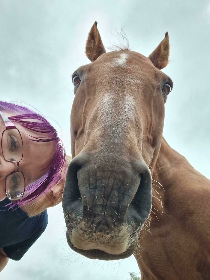 Wait Till You See These Epic Animal Selfies That Totally Nail It