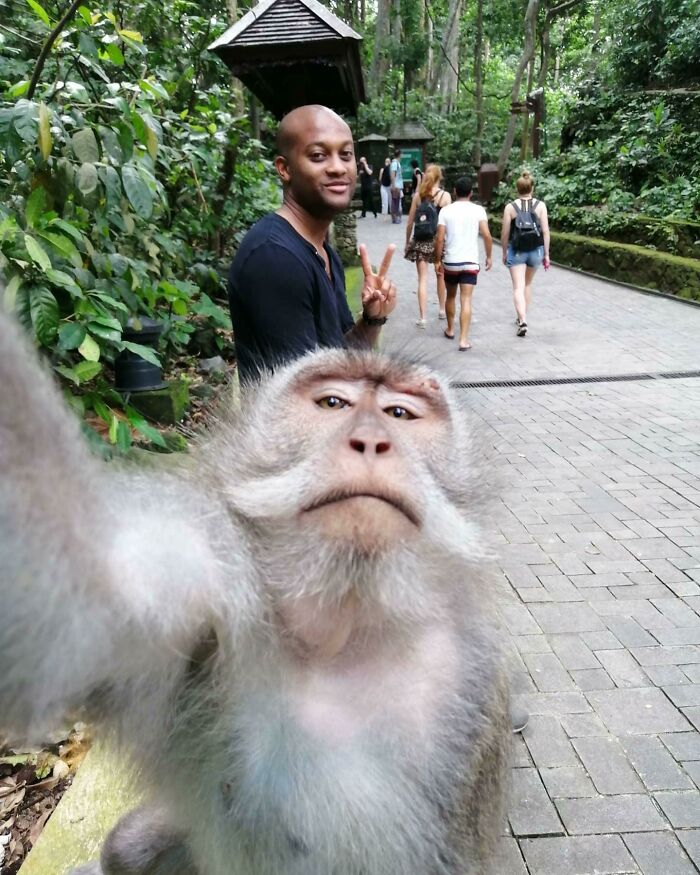 Wait Till You See These Epic Animal Selfies That Totally Nail It