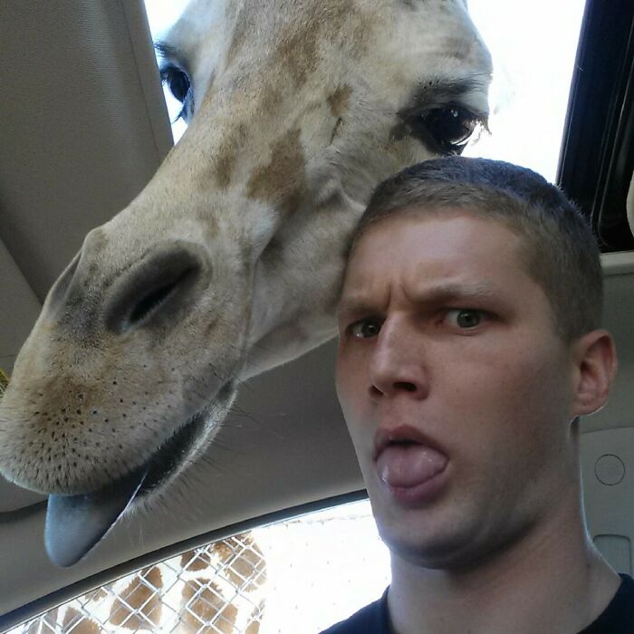 Wait Till You See These Epic Animal Selfies That Totally Nail It