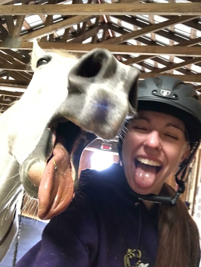 Wait Till You See These Epic Animal Selfies That Totally Nail It