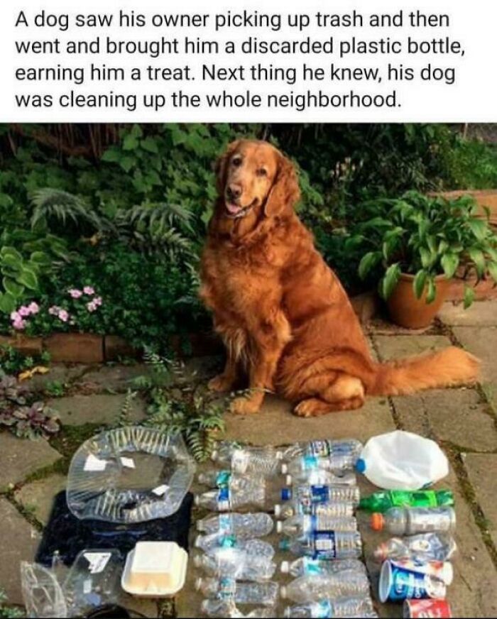 Working Hard For Those Treats