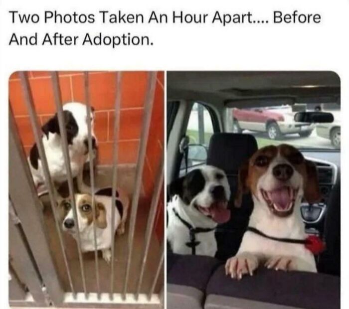 Look at That Happy Crew!!