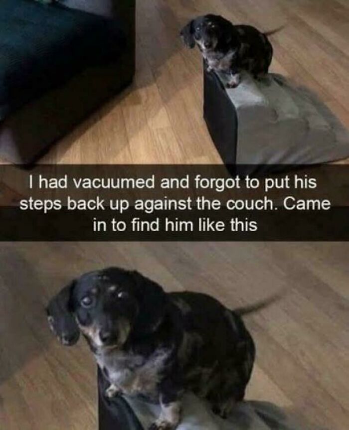 Say Hello To This Sweet Face!