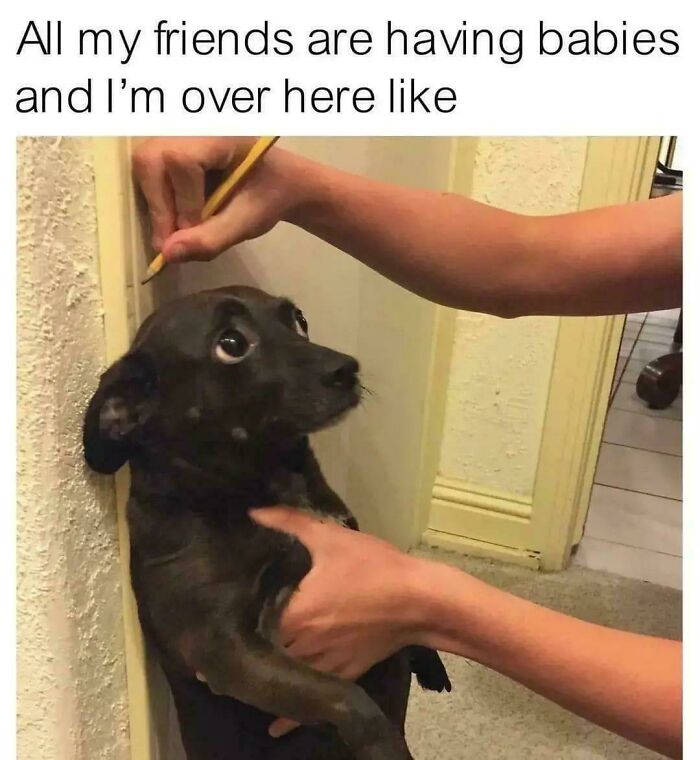 Who Else Can Relate?