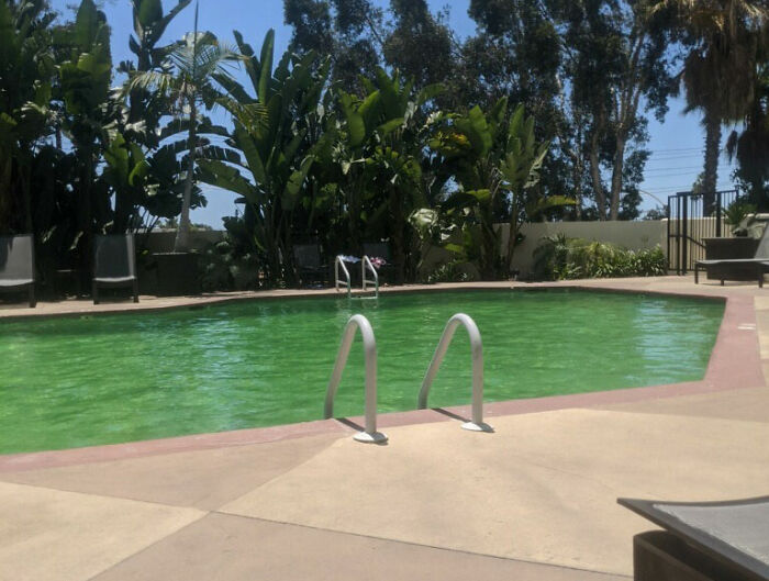 Wait, People Actually Exploited These Hilarious Loopholes?