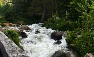 Wait, They Made These Places Look Like Japan?! The TikTok Trend That’s Pure Magic