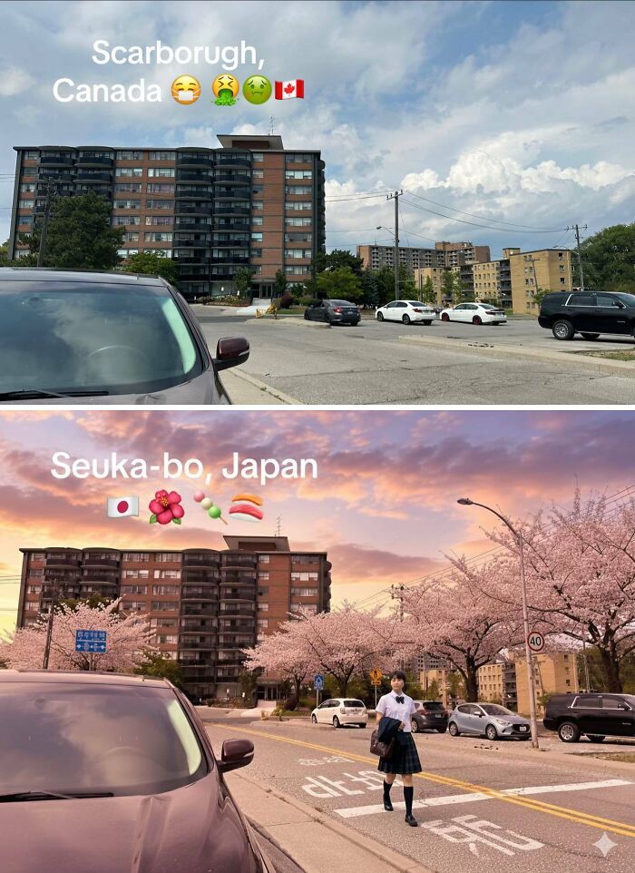 Wait, They Made These Places Look Like Japan?! The TikTok Trend That’s Pure Magic