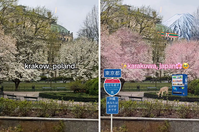 Wait, They Made These Places Look Like Japan?! The TikTok Trend That’s Pure Magic