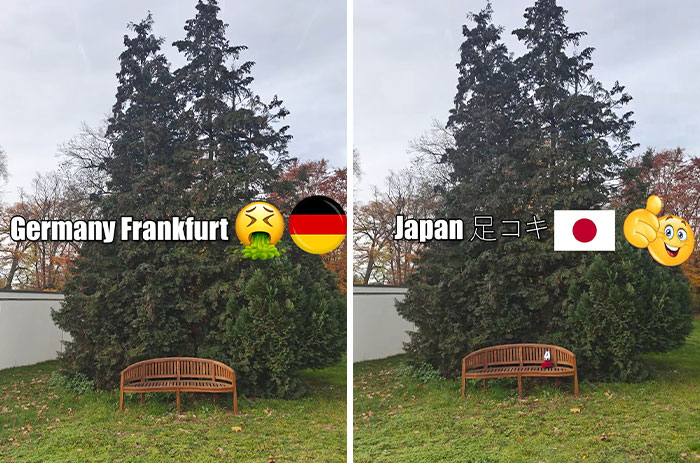 Wait, They Made These Places Look Like Japan?! The TikTok Trend That’s Pure Magic