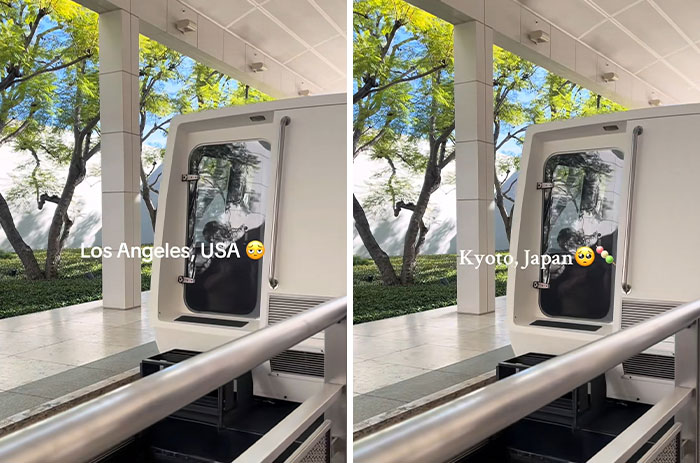 Wait, They Made These Places Look Like Japan?! The TikTok Trend That’s Pure Magic