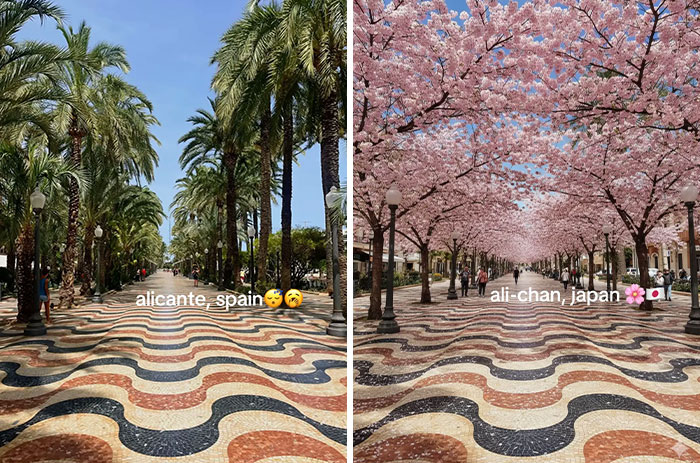 Wait, They Made These Places Look Like Japan?! The TikTok Trend That’s Pure Magic