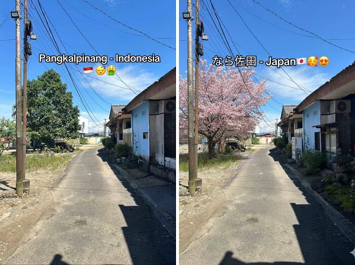 Wait, They Made These Places Look Like Japan?! The TikTok Trend That’s Pure Magic