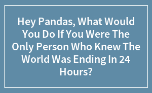 What Would YOU Do If You Knew The World Was Ending Tomorrow?