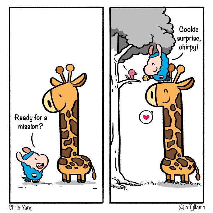 Mission: Kindness Accomplished