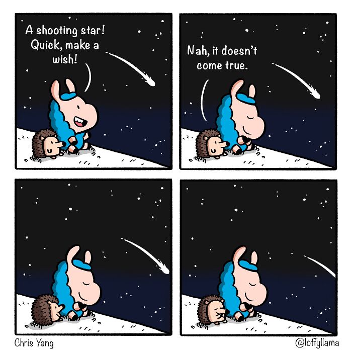 Make a Wish (Because Why Not!)