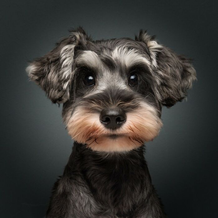 38 Wild Animal Pics That Will Totally Make Your Day