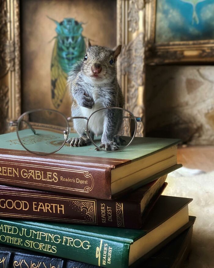 38 Wild Animal Pics That Will Totally Make Your Day