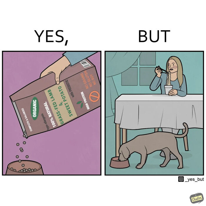 Wait, These ‘Yes, But’ Comics Totally Get Life!